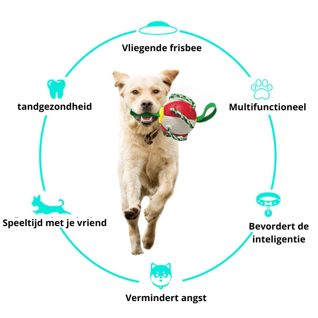 SUPERFLYER2.0™ - DE DUURZAME FLYING BALL VOOR JOUW HOND